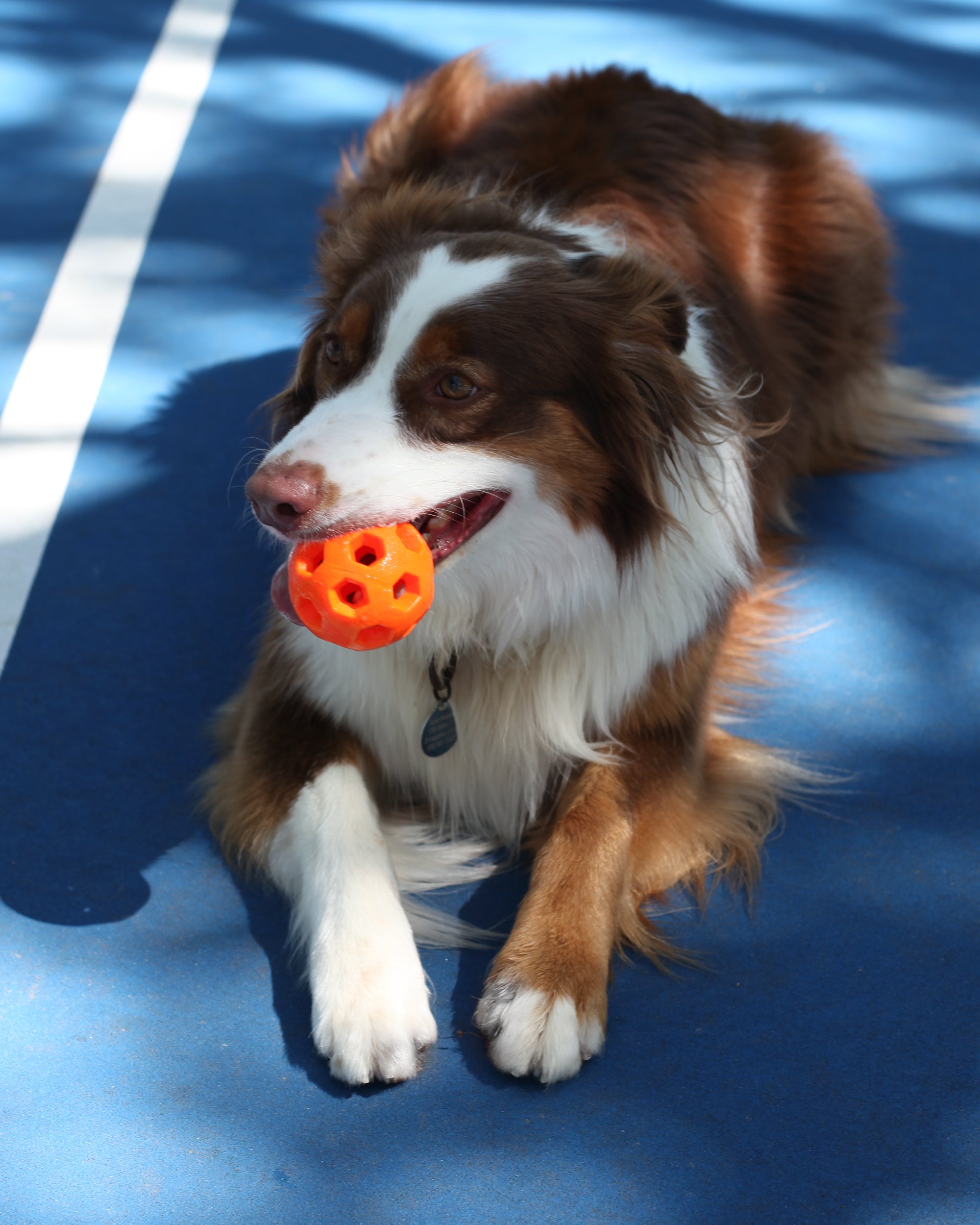 Active Ball