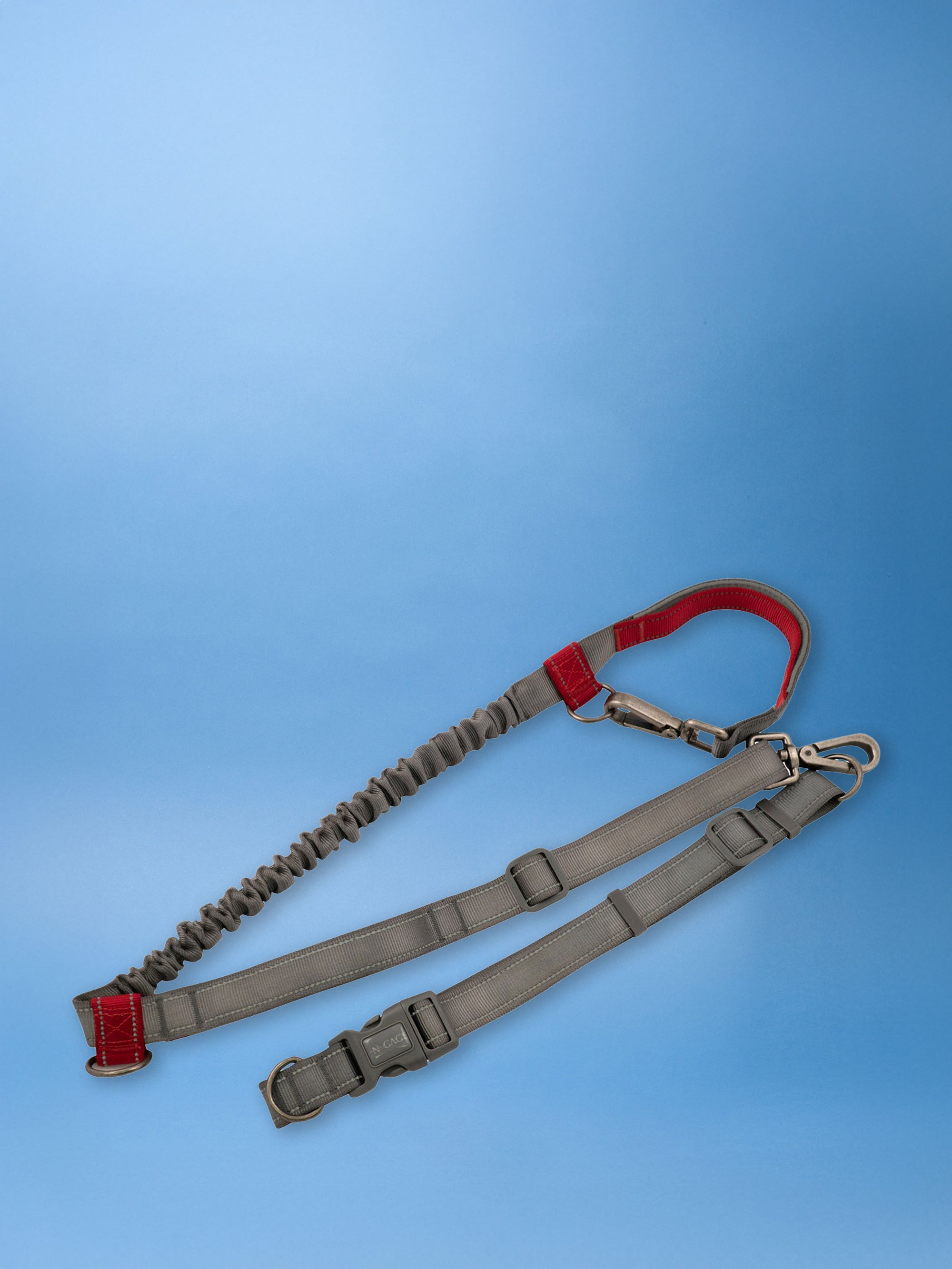 Running Leash
