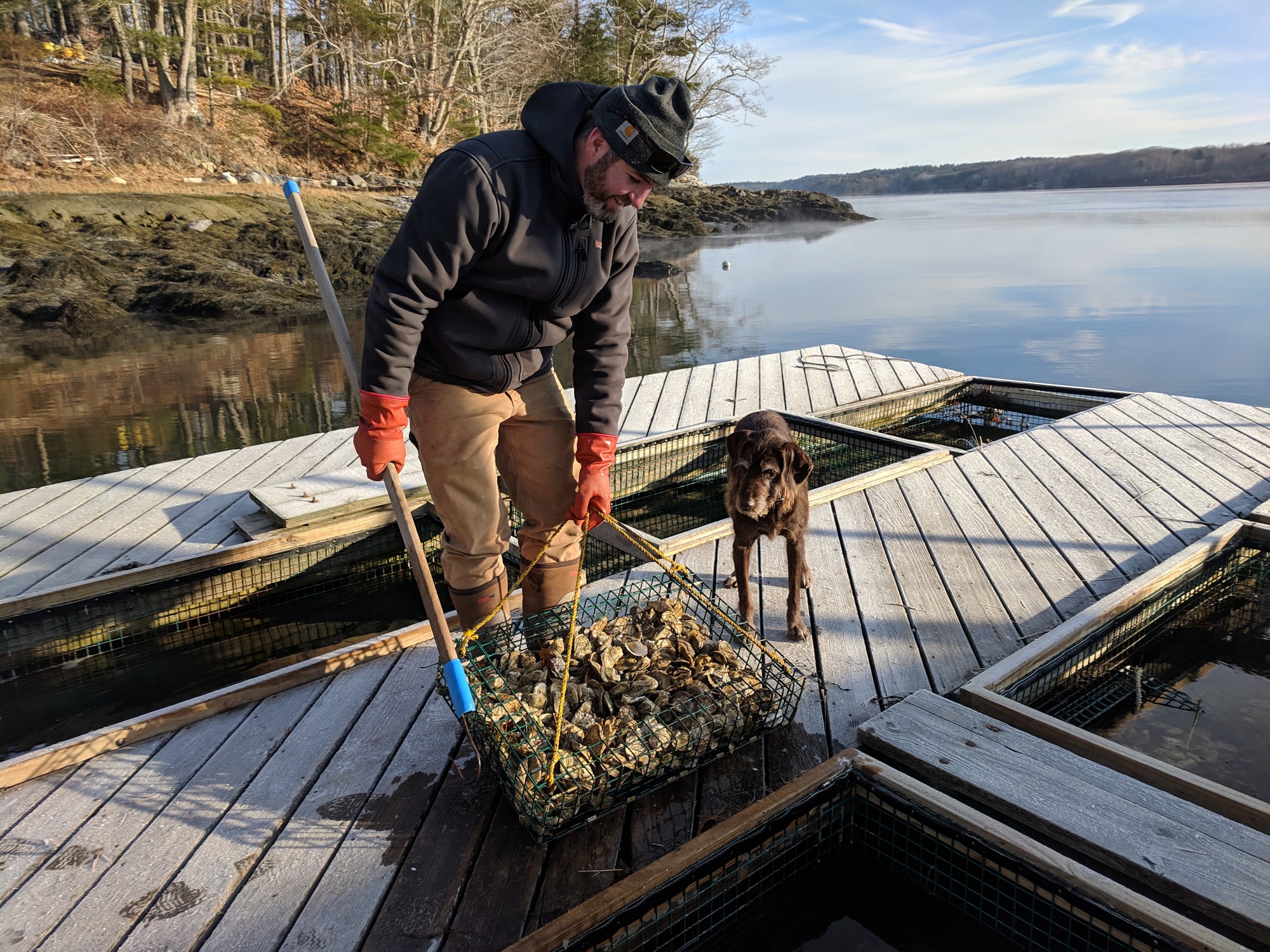 Share the Fetch: Running the Farm