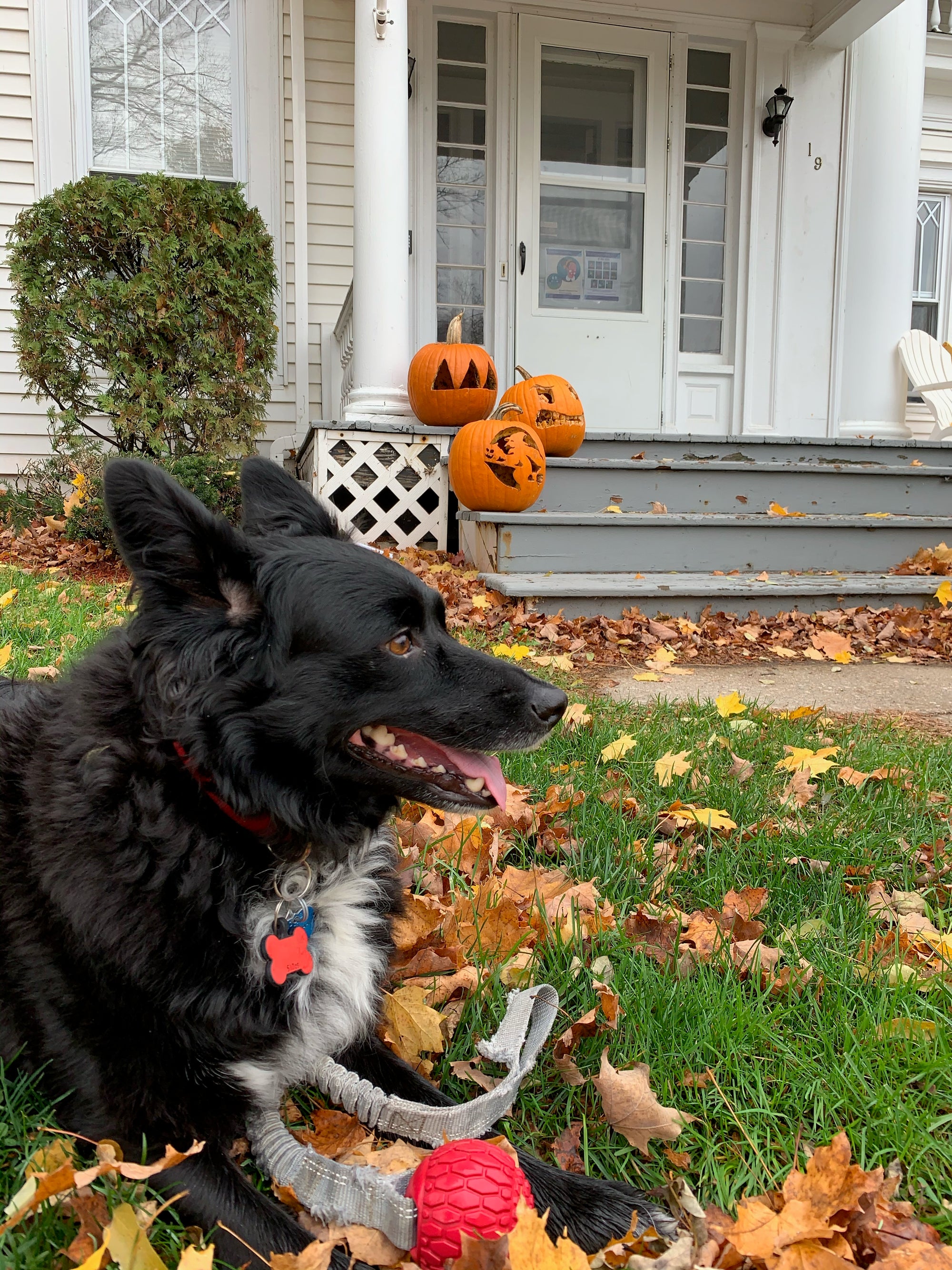 Happy Halloween (COSTUME CONTEST)!