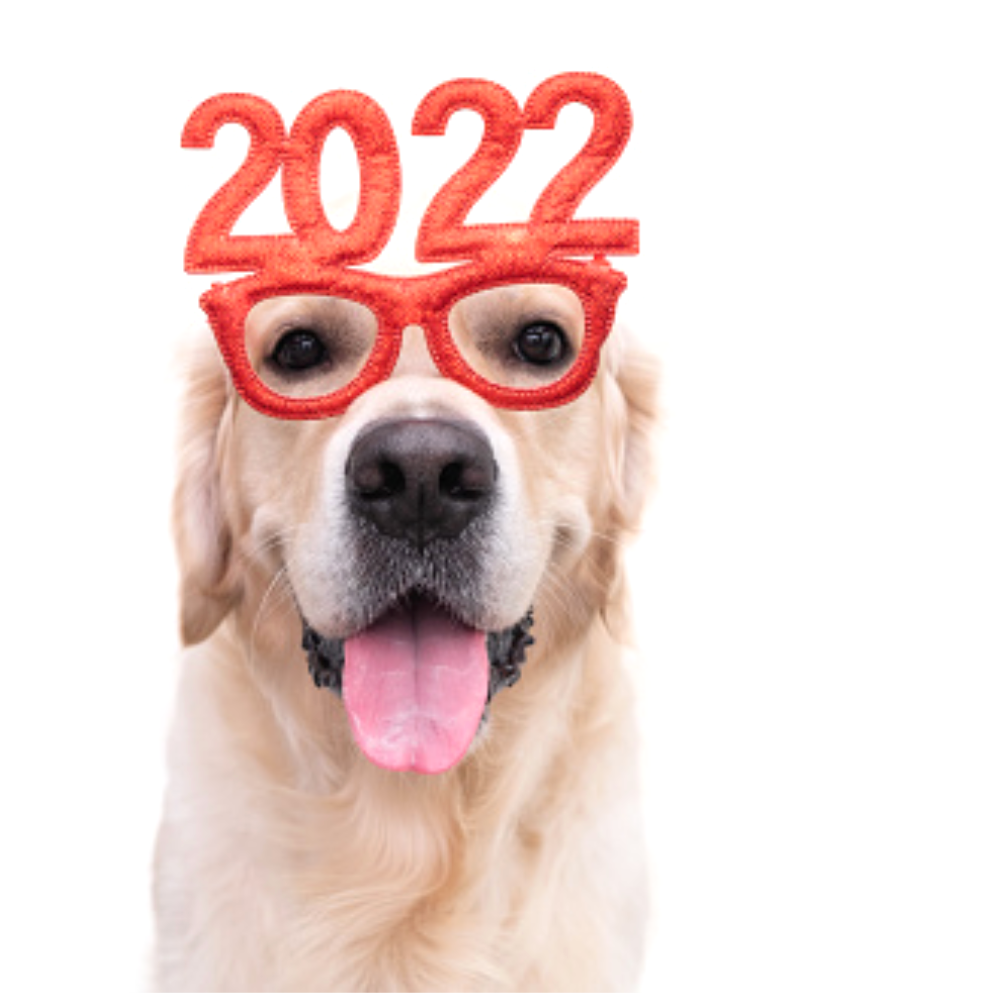 New Year's Resolutions 2022