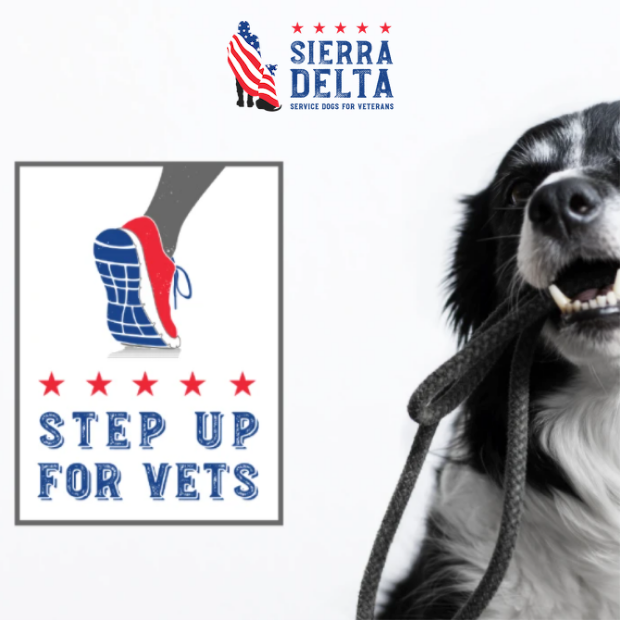 #StepUpForVets with Sierra Delta and Co.