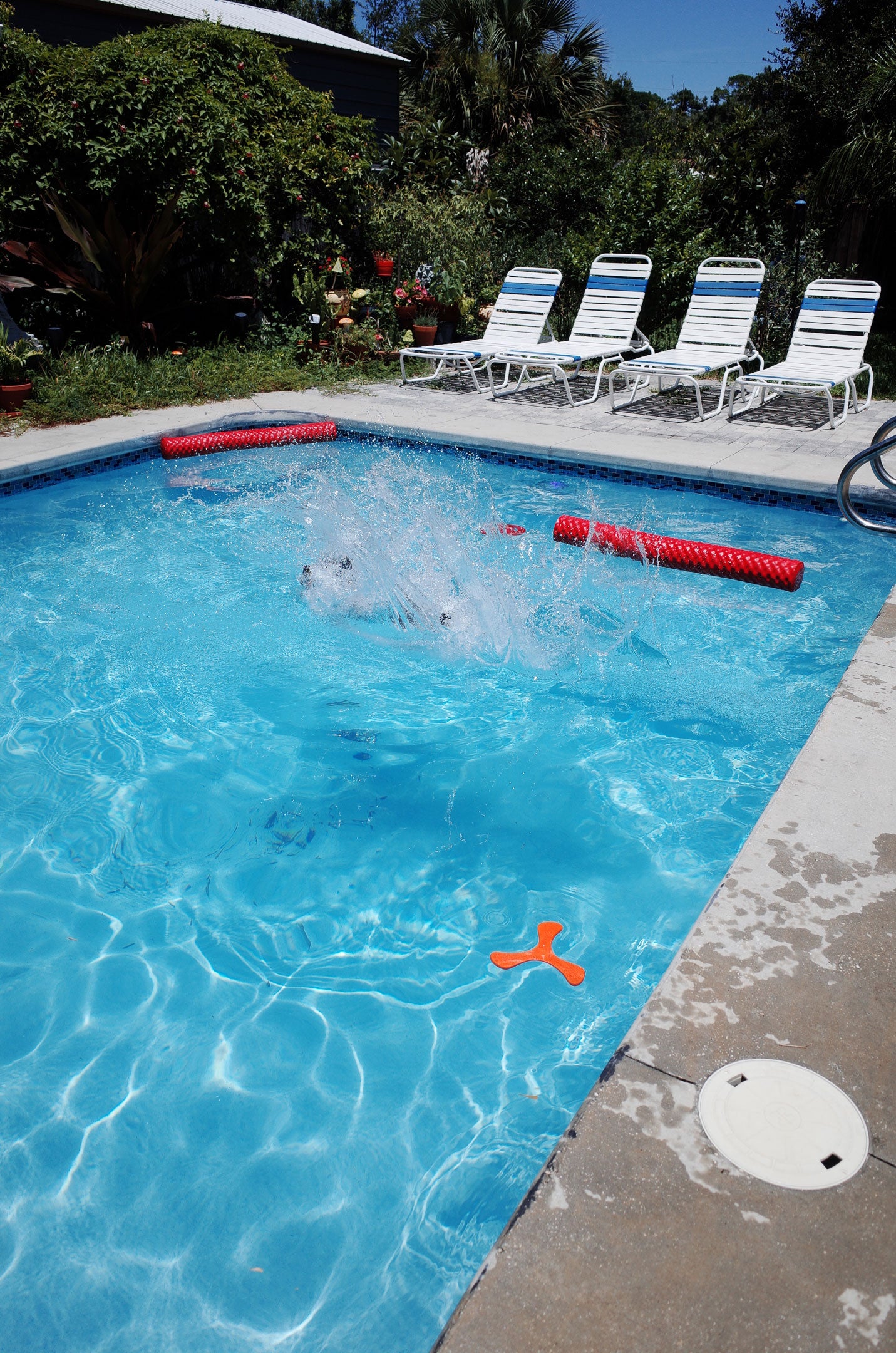 Slideshow Image 1