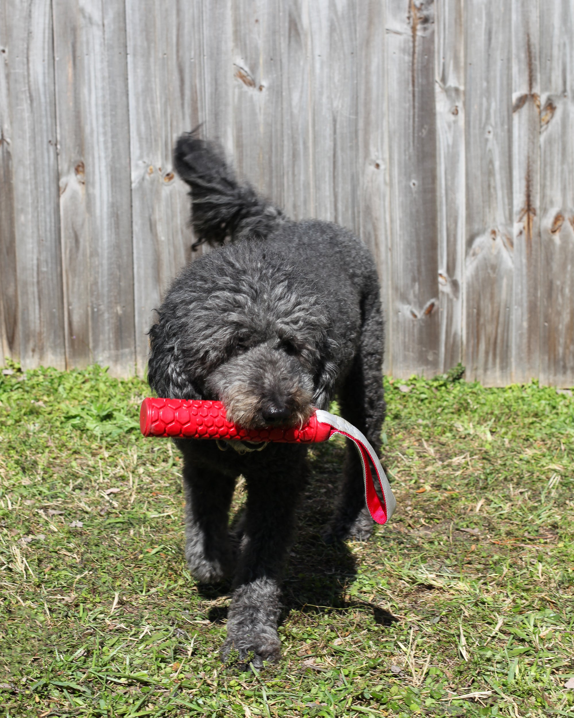 Classic Bumper Regular