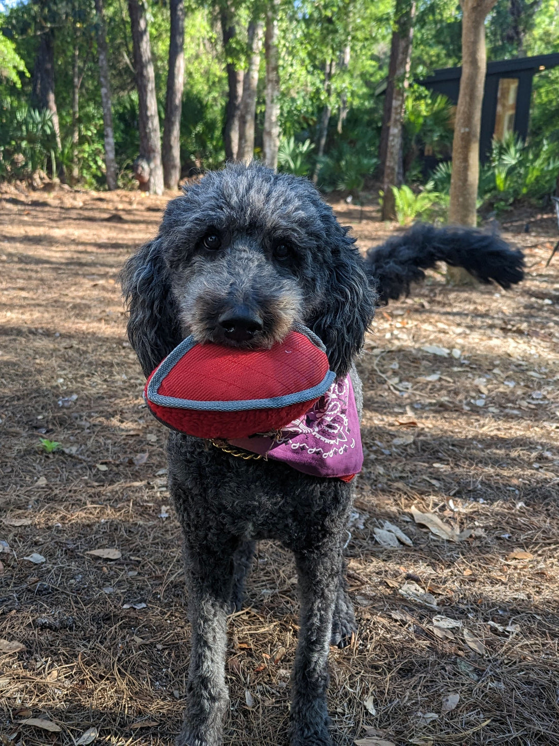 Squeaker Football Soft