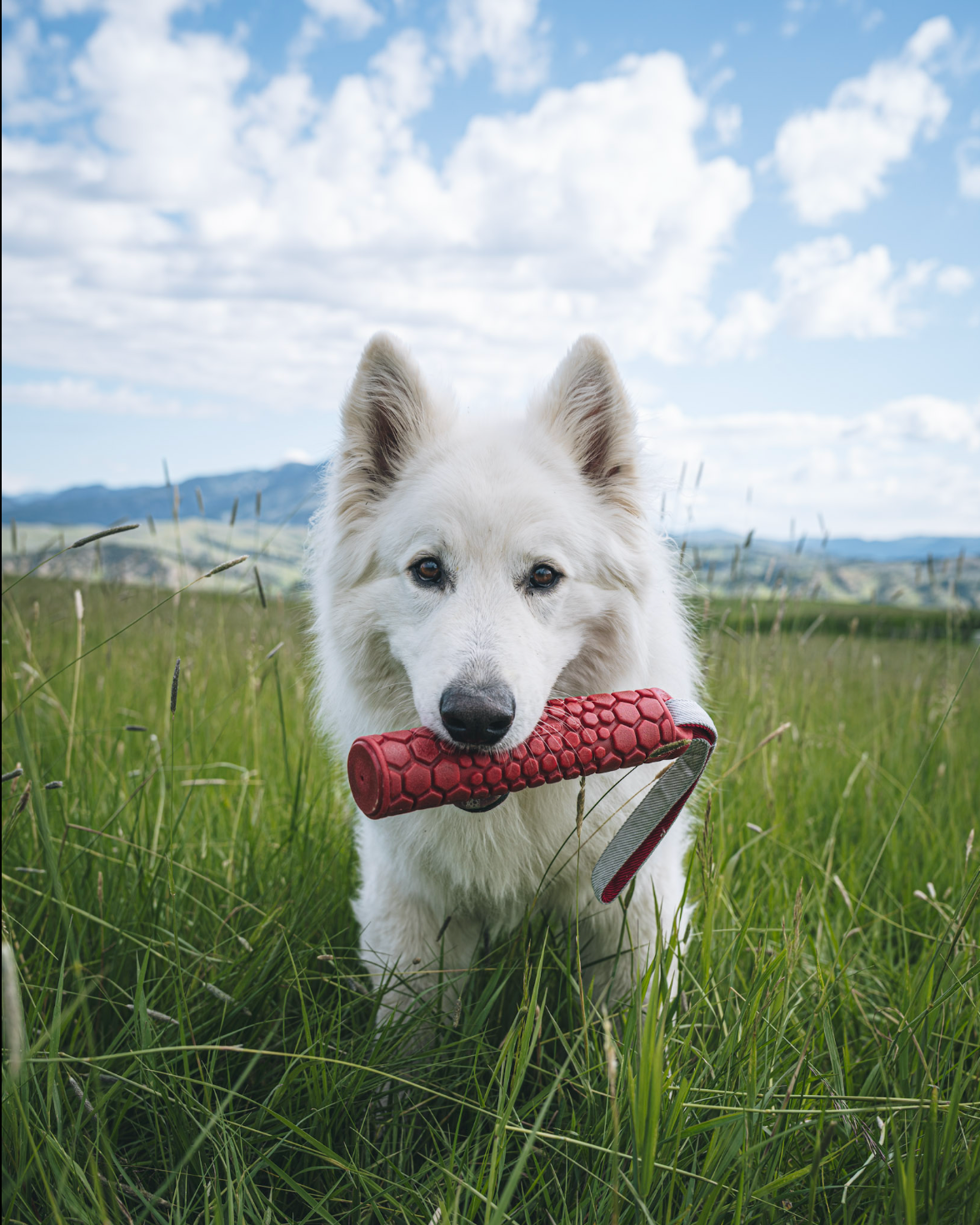 Yeti Wolf Kit