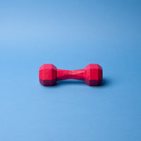 Dumbbell Regular