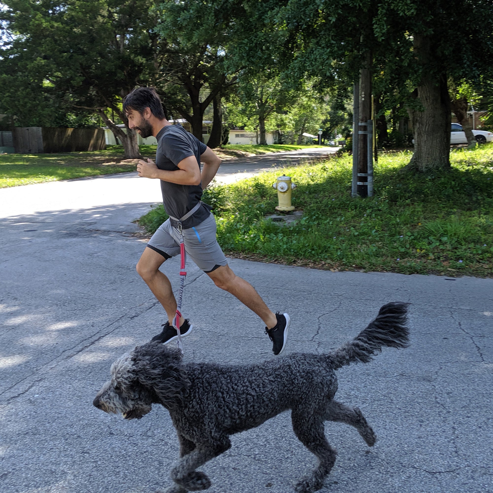 N-Gage Running Leash Action With Dog